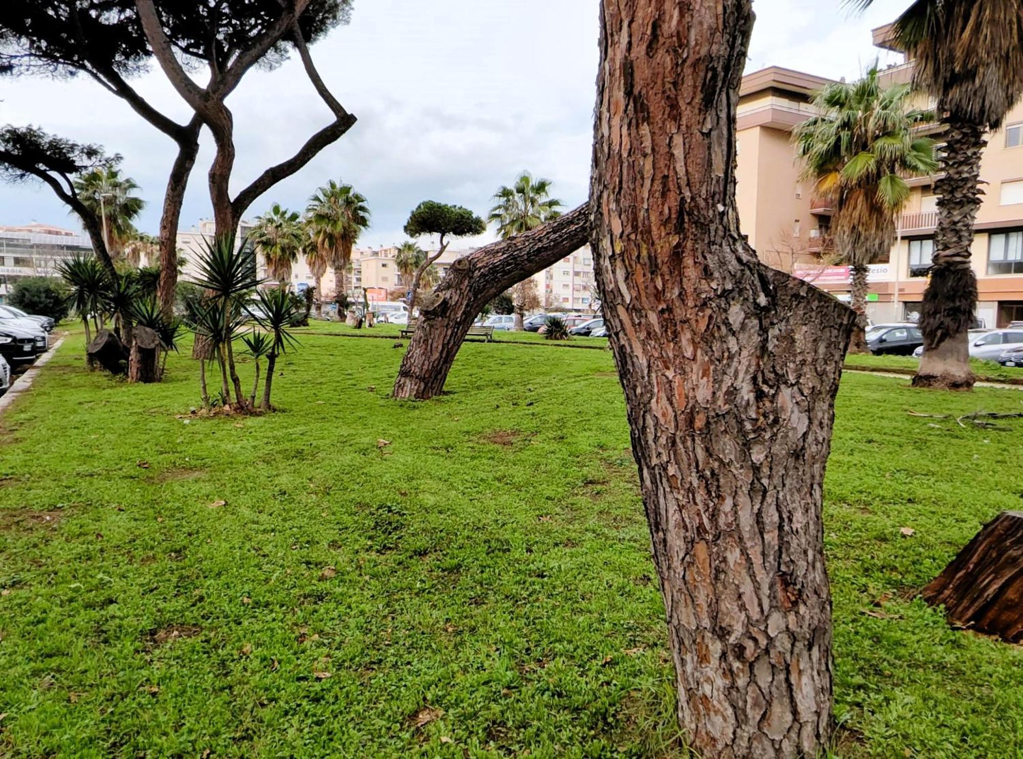 Euforbia House Leilighet Lido di Ostia Eksteriør bilde